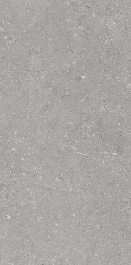Shellstone Grigio 60x120 - фото 1