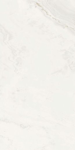 Onix Predo 9 mm POLI 60x120 - фото 1