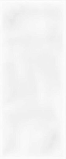Sweety White Wall 01 25x60 - фото 1