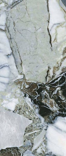 CityMarble Амазония Мультиколор 60x120 - фото 1