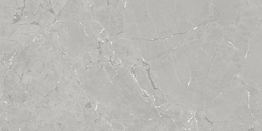 Neeko Grey 60x120 - фото 1