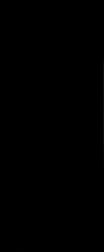 Gotha Black Rett. 25x60 - фото 1
