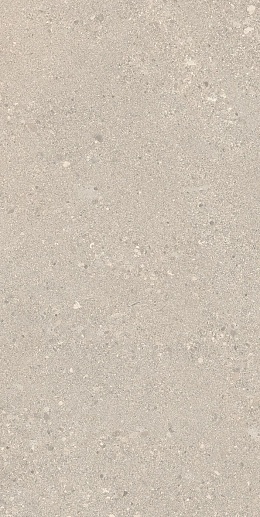 Grain Stone Rough Grain Sand Tecnica R11 60x120 - фото 1