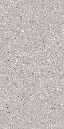 Terrazzone Ash Honed 60x120 - фото 1