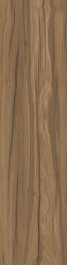 Kalahari Кокосовый 15x60 - фото 1