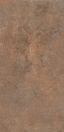 Tavellone Vecchia Firenze In 15.3x31 - фото 1