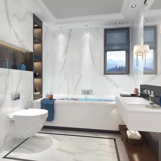 Sina Tile Porcelain Tile 6