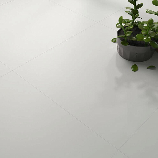 Zyx Evoke 2