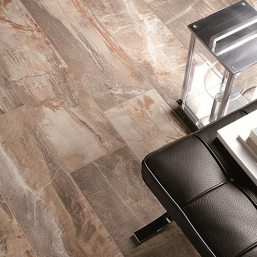 ABK Fossil 6