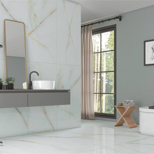 Realistik Laxveer Ceramic 4